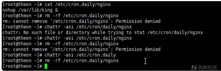 20240830140548-e6cd2480-6695-1